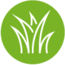 Icons_Schnittblumen_geeignet