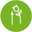 Icons_Schnittblumen_geeignet